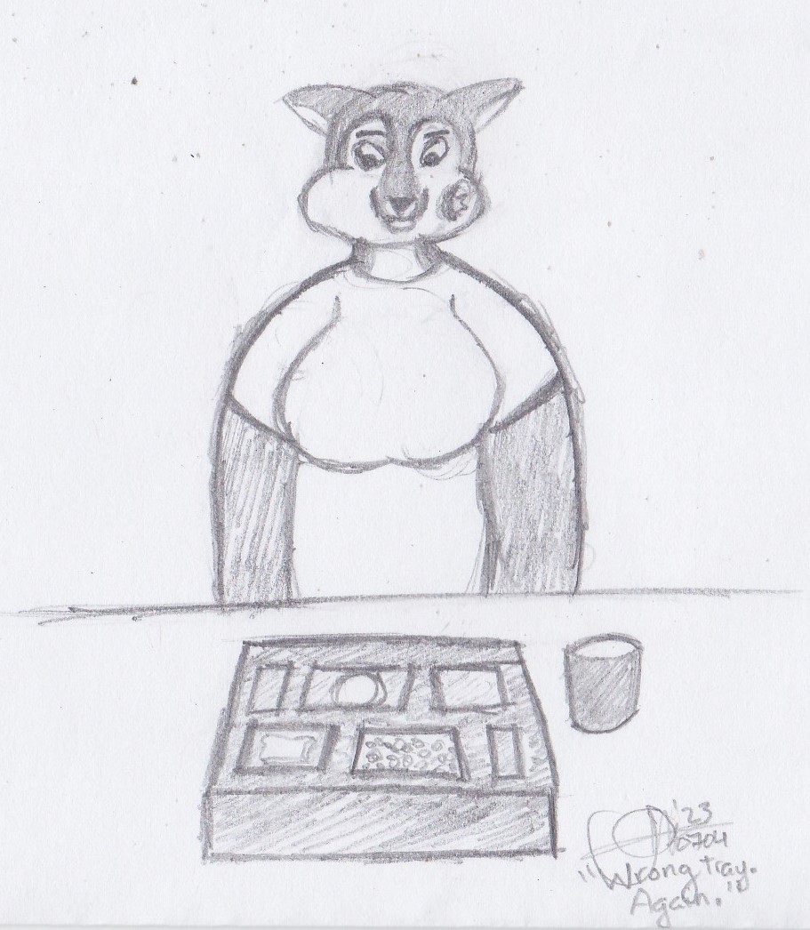 A pencil drawing by Jayel showing their character Xial staring wistfully at a tray of prison food. It is captioned "Wrong tray. Again."